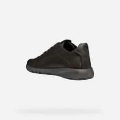 Homme Geox AERANTIS HOMME