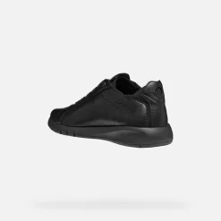 Homme Geox AERANTIS HOMME