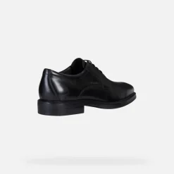 Homme Geox BRANDOLF HOMME