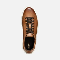 Homme Geox DEIVEN HOMME