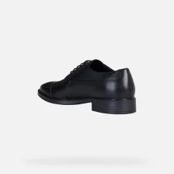Homme Geox GLADWIN HOMME