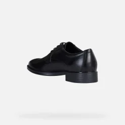 Homme Geox GLADWIN HOMME