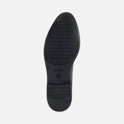 Homme Geox GLADWIN HOMME