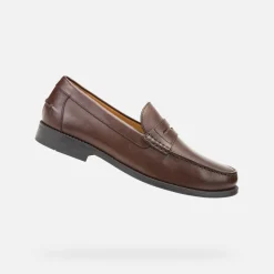 Homme Geox NEW DAMON HOMME
