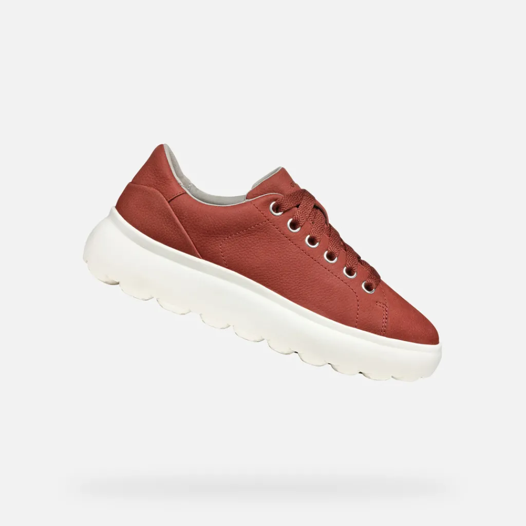 Femme Geox SPHERICA EC4.1 FEMME