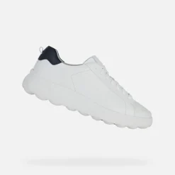 Homme Geox SPHERICA EC4.1 HOMME