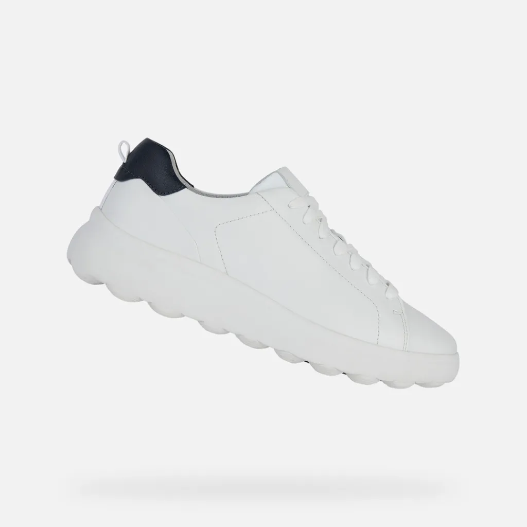 Homme Geox SPHERICA EC4.1 HOMME