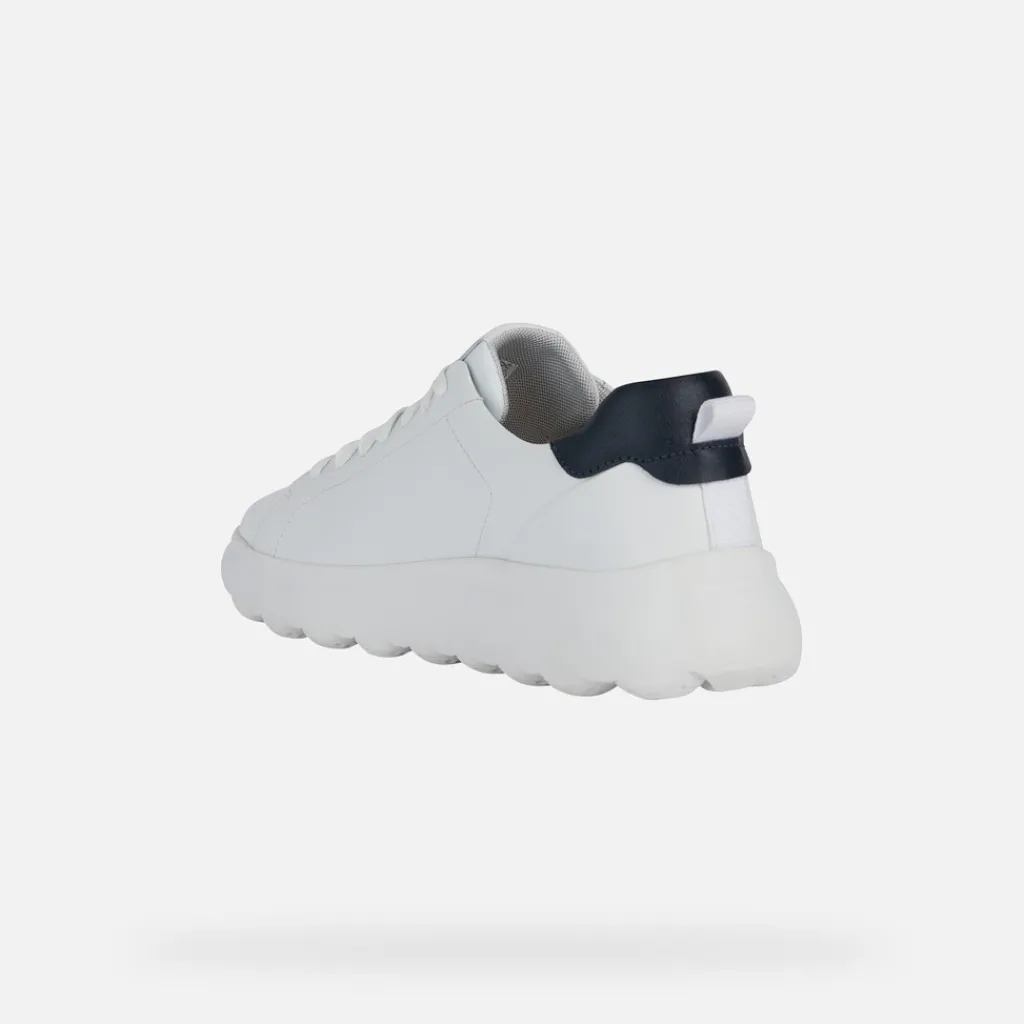 Homme Geox SPHERICA EC4.1 HOMME