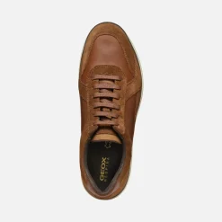 Homme Geox SPHERICA EC12 HOMME