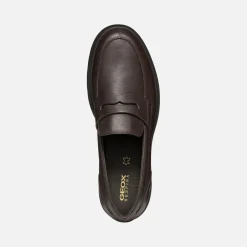 Homme Geox SPHERICA EC1 HOMME