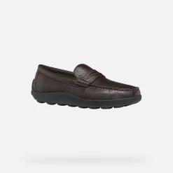 Homme Geox SPHERICA EC14 HOMME
