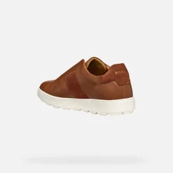 Homme Geox SPHERICA ECUB-1 HOMME