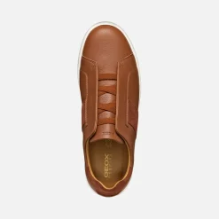 Homme Geox SPHERICA ECUB-1 HOMME