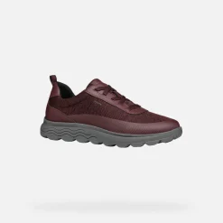 Homme Geox SPHERICA HOMME