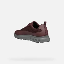 Homme Geox SPHERICA HOMME