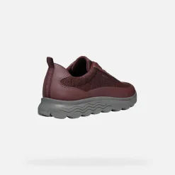 Homme Geox SPHERICA HOMME
