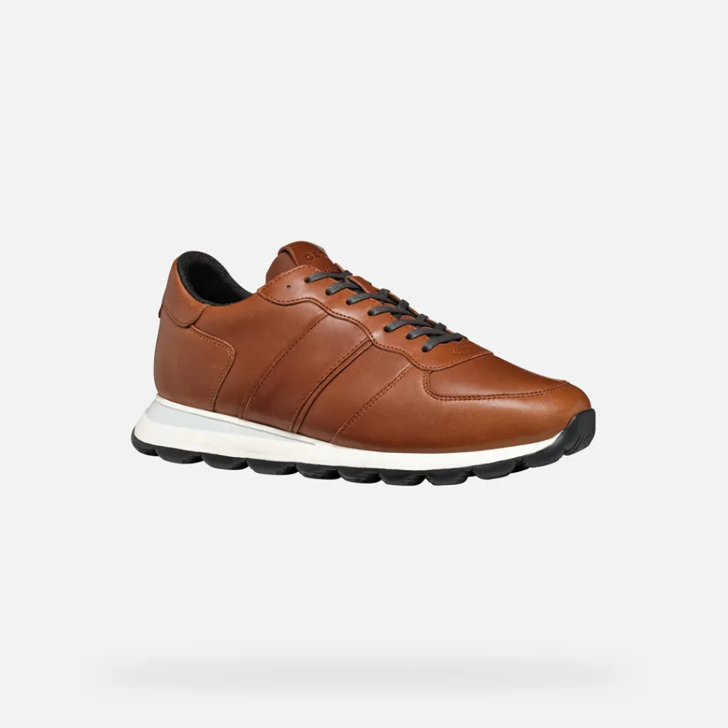 Homme Geox SPHERICA VSERIES HOMME