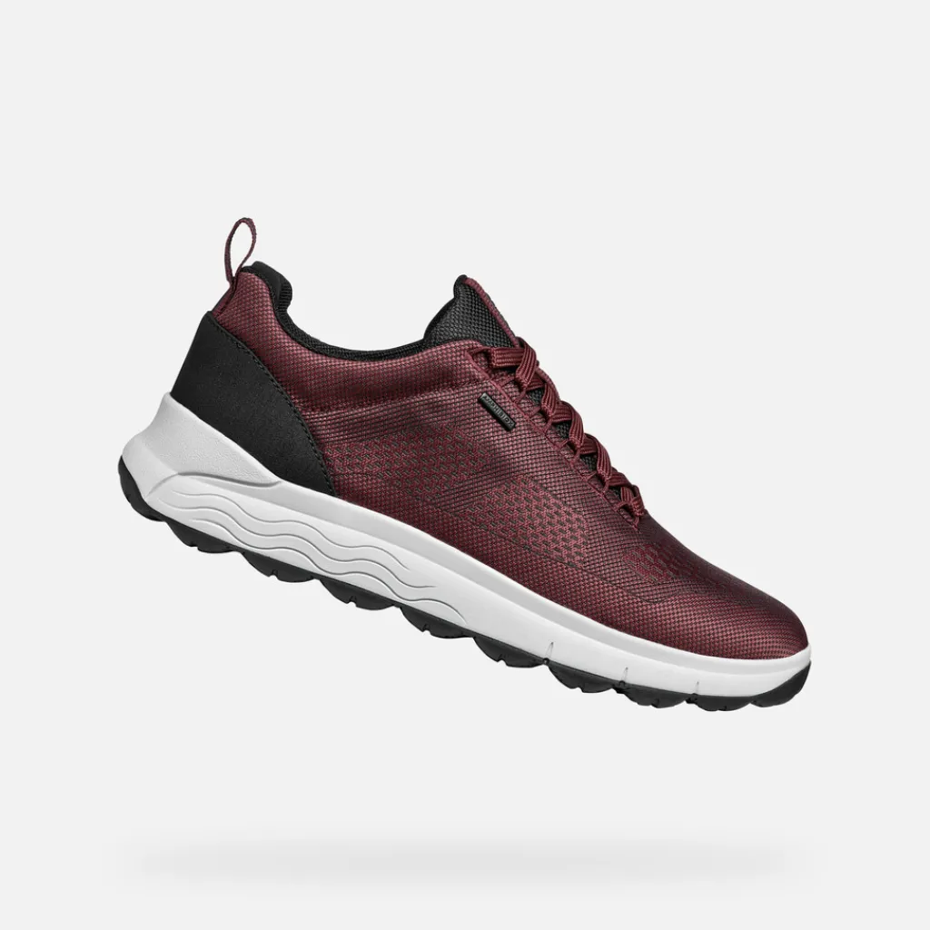 Homme Geox SPHERICA 4X4 ABX HOMME