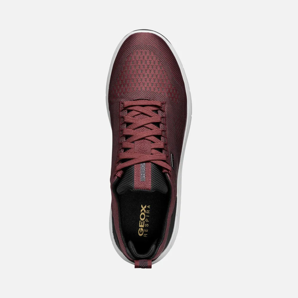 Homme Geox SPHERICA 4X4 ABX HOMME