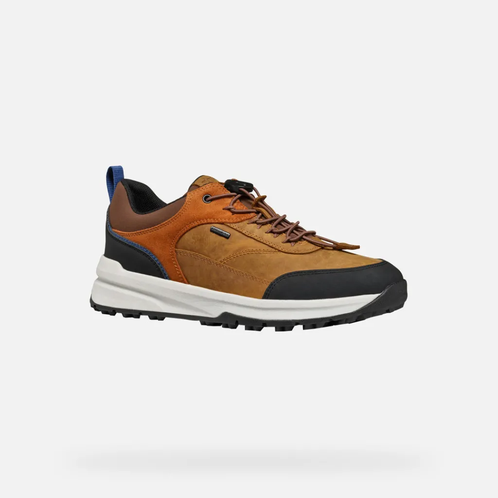 Homme Geox STERRATRAIL + GRIP ABX HOMME