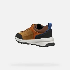 Homme Geox STERRATRAIL + GRIP ABX HOMME