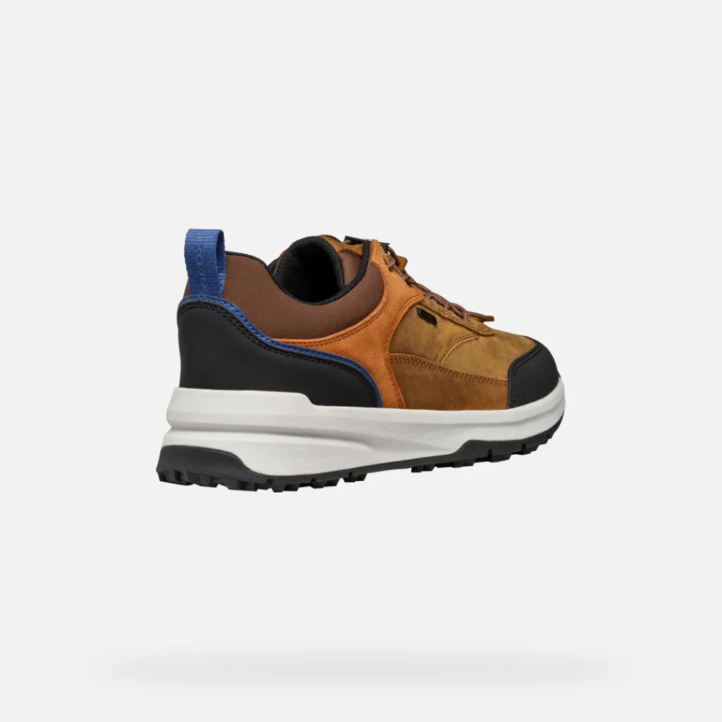 Homme Geox STERRATRAIL + GRIP ABX HOMME