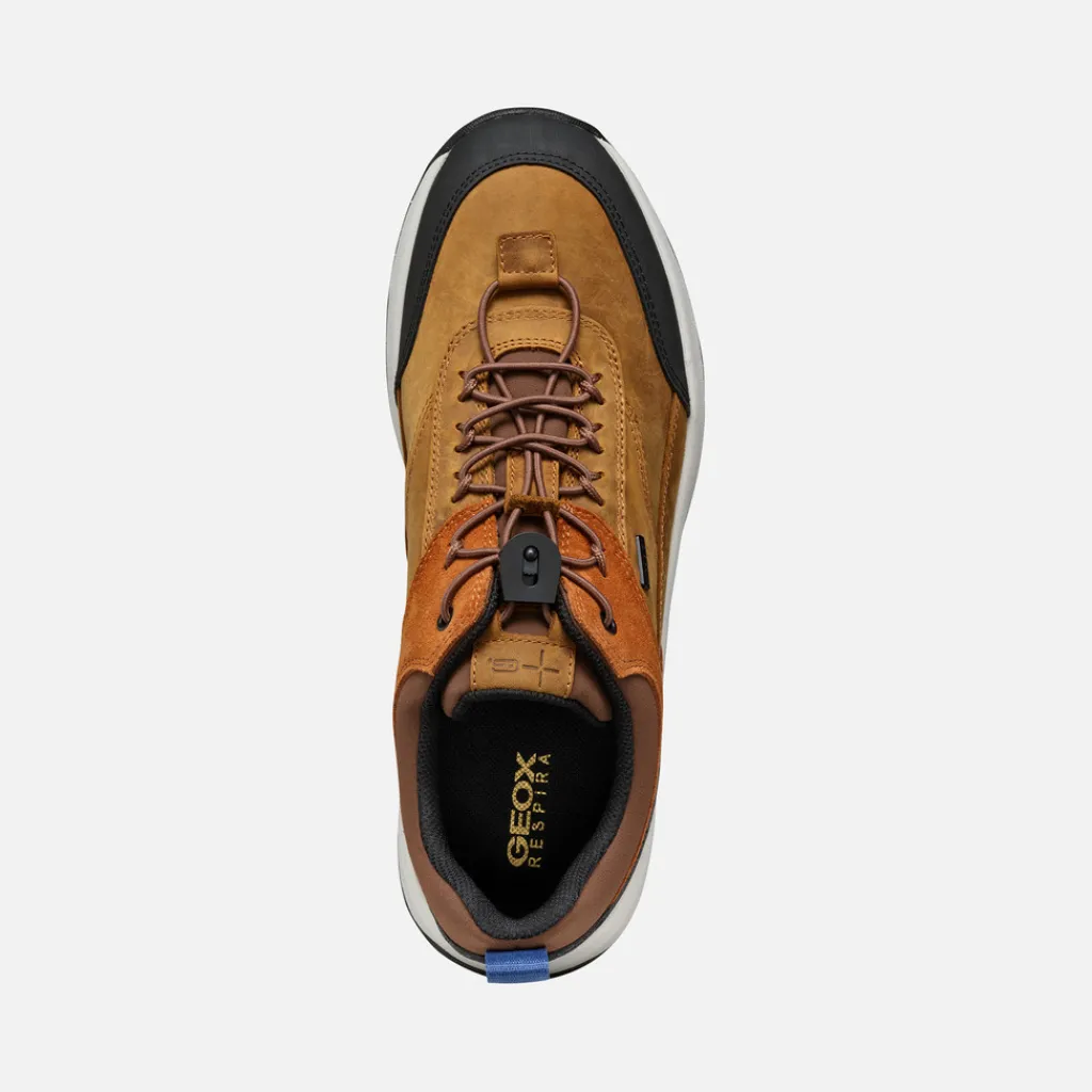 Homme Geox STERRATRAIL + GRIP ABX HOMME