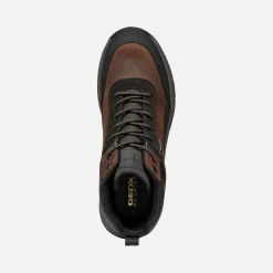 Homme Geox STERRATRAIL + GRIP ABX HOMME